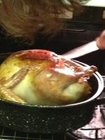 1-IMG 0244