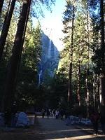 1-IMG 0326