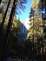 1-IMG 0327