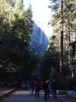 1-IMG 0328