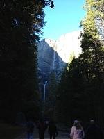 1-IMG 0329