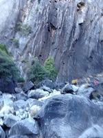 1-IMG 0364