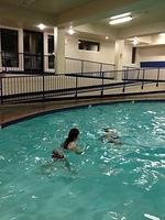 1-IMG 0386