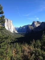 1-IMG 0446