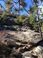 1-IMG 0457