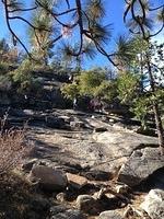 1-IMG 0459