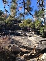 1-IMG 0460