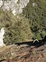 1-IMG 0466