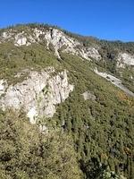 1-IMG 0467