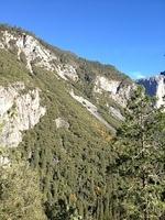 1-IMG 0469