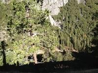 1-IMG 0472