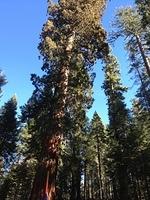 1-IMG 0503