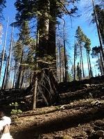 1-IMG 0507
