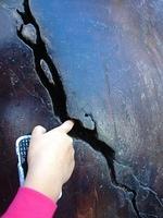 1-IMG 0517