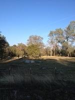 1-IMG 0548