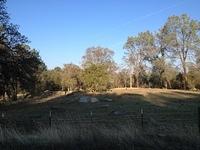 1-IMG 0549