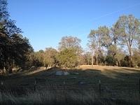 1-IMG 0550