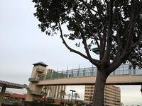 1-IMG 0763