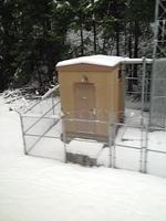 1-IMG 0795