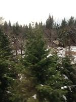 1-IMG 0799