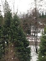 1-IMG 0801