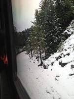 1-IMG 0808