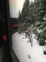 1-IMG 0809