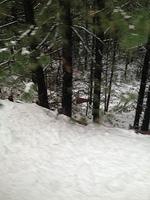 1-IMG 0820