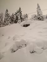 1-IMG 0824