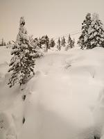 1-IMG 0830