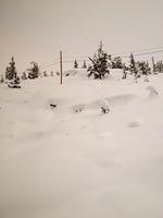 1-IMG 0831