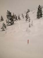 1-IMG 0835