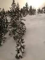 1-IMG 0836
