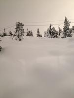 1-IMG 0838