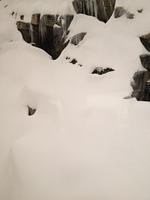 1-IMG 0842