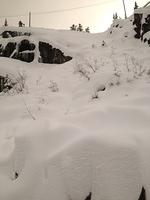 1-IMG 0845