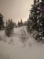 1-IMG 0848