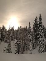 1-IMG 0851