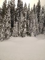 1-IMG 0854