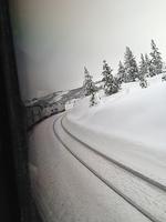 1-IMG 0863