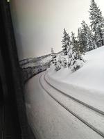 1-IMG 0864