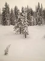 1-IMG 0872