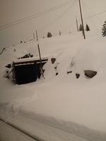 1-IMG 0874