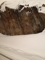 1-IMG 0875