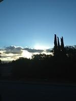 1-IMG 0960