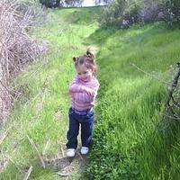 2-IMG 0050