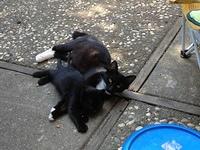 2-IMG 0274