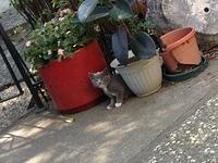 2-IMG 0278