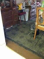 2-IMG 0337