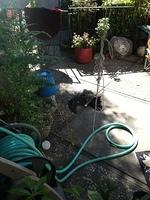 2-IMG 0456